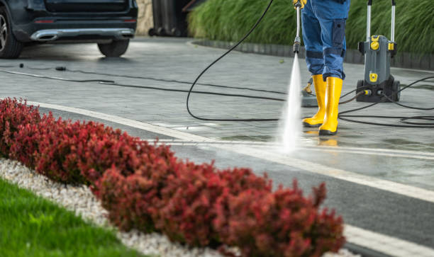 Best Gutter Cleaning  in Bluff City, TN